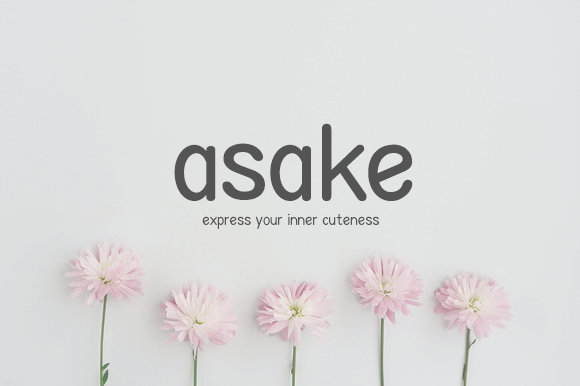 Asake Typeface Review: A Minimalist Sans Serif for Modern Brands
