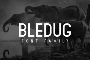 Bledug Family: A Bold Sans Serif Font for Modern Web Design
