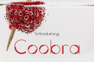 Coobra: A Modern Sans Serif Font for Small Business Branding