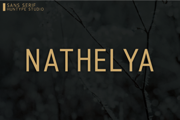 Nathelya Font Review: A Clean Sans Serif for Modern Brands