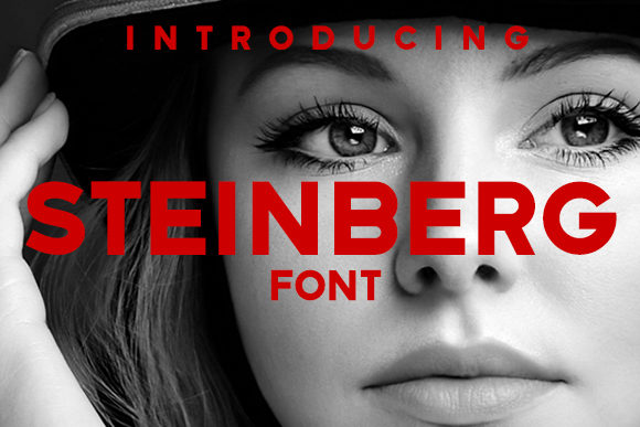 Steinberg: A Modern Sans Serif Font for Editorial Design