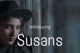 Susans Font Review: A Bold Sans Serif for Web Headers