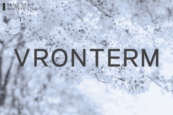 Vronterm: A Clean Sans Serif Font for Editorial Design