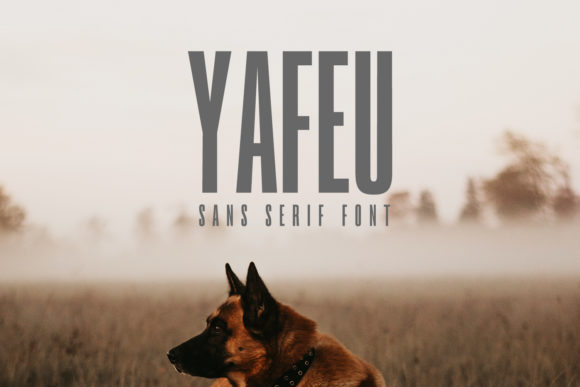 Yafeu Family Review: A Chic Sans Serif Typeface for Modern Brands